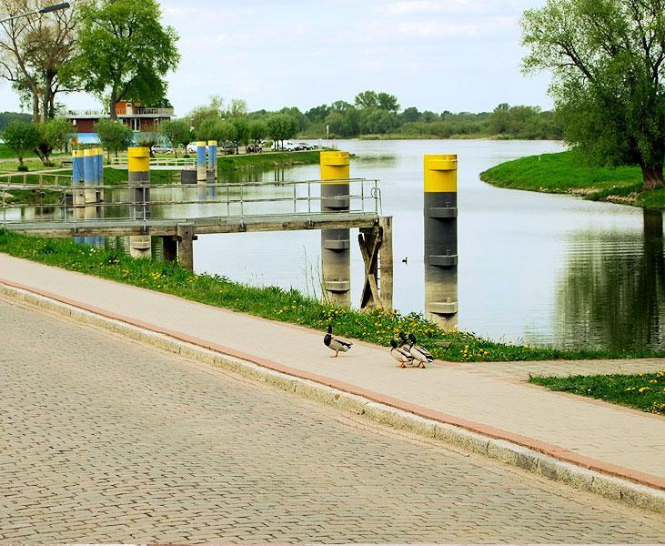 Elbhotel Bleckede Buitenkant foto